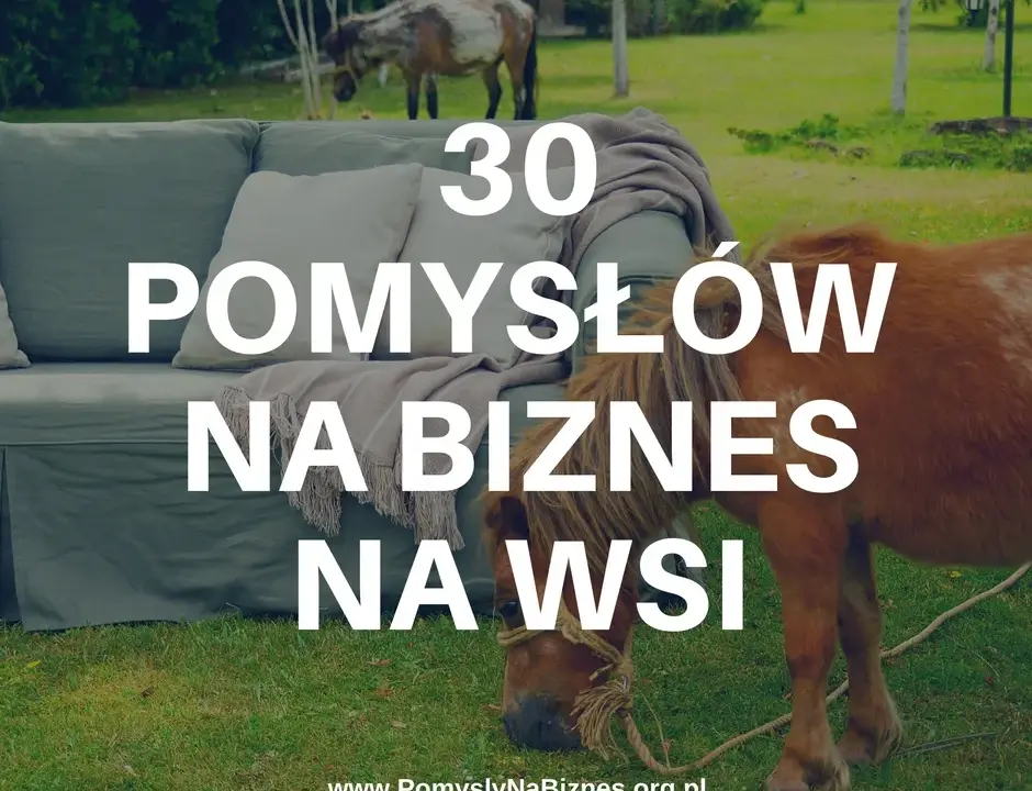 Dochodowy biznes na osiedlu: Pomysły, które pokochają sąsiedzi