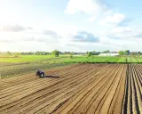 Rolnik a podatek od nieruchomości: Kiedy płacisz, a kiedy masz zwolnienie?