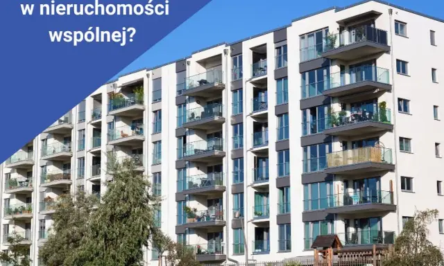 Oblicz udział w nieruchomości wspólnej: Klucz do Twoich praw i opłat