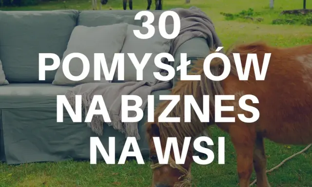 Dochodowy biznes na osiedlu: Pomysły, które pokochają sąsiedzi